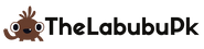 The Labubu Pk